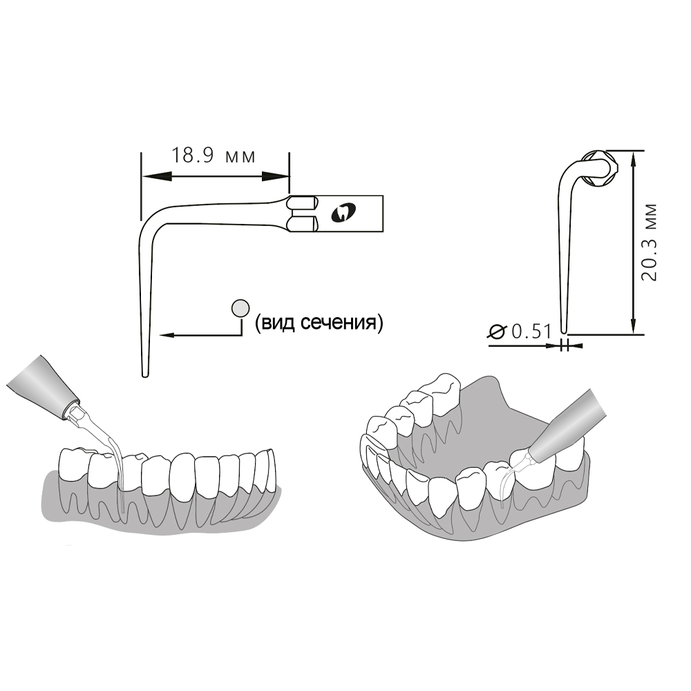 Насадка для скалера P50R/P50R-S