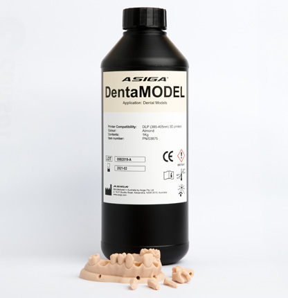 DentaMODEL 1kg Bottle